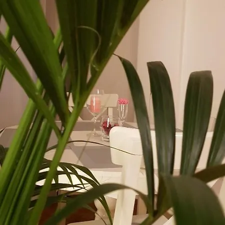 Centro Terme Daire *