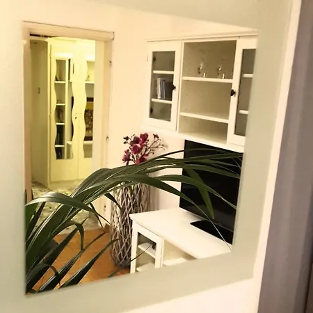 Centro Terme Daire *