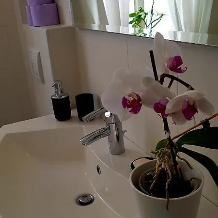 Centro Terme アパート *